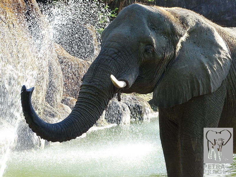 Chien Hui ( Qian Hui)